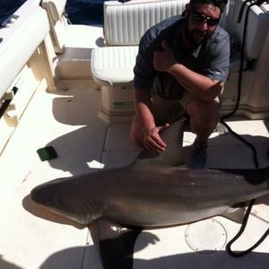 Meet your Posher, Jonathan